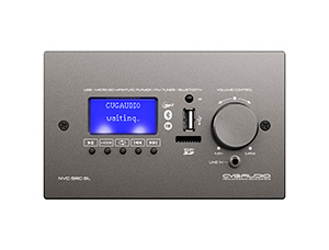 Комплект звукового оборудования с управлением громкостью и источниками сигнала CVGAUDIO T-LITE VECTOR/BL/M