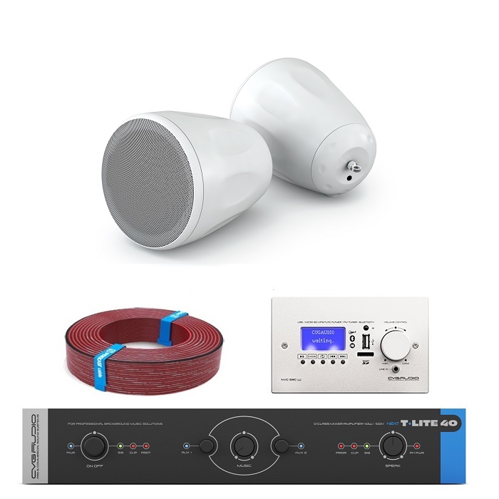 Комплект звукового оборудования с управлением громкостью и источниками сигнала CVGAUDIO T-LITE COMPLEX/W/S