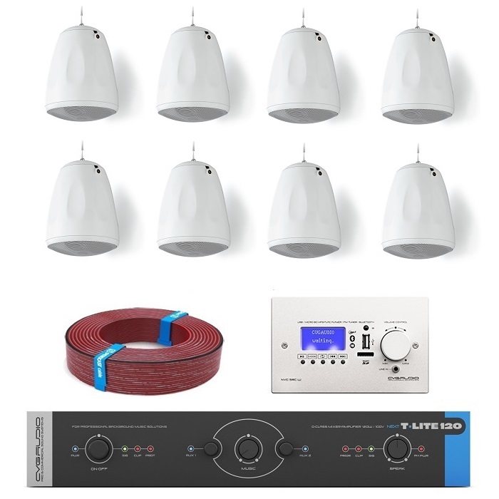 Комплект звукового оборудования с управлением громкостью и источниками сигнала CVGAUDIO T-LITE COMPLEX/W/XL