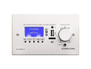 Комплект звукового оборудования с управлением громкостью и источниками сигнала CVGAUDIO T-LITE FOCUS/W/M
